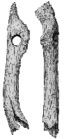 At_22.jpg (12765 bytes)