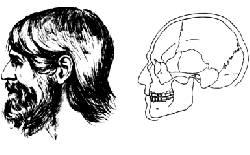 At_53.jpg (22249 bytes)