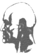 At_88.jpg (43629 bytes)
